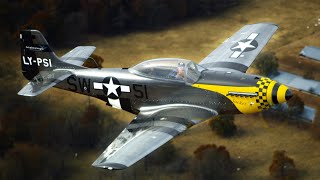 Review of the ScaleWings SW51 Mustang [upl. by Kronfeld]