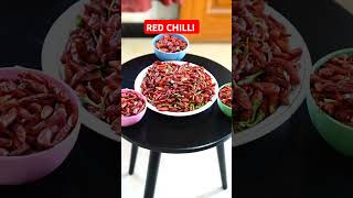 Grow your own RED Chilli at Home vegetables chilli gardening spices diggingharvest [upl. by Khosrow575]