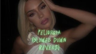 Peligrosa  J Balvin Wisin Y Yandel Slowed Down Reverb 🩵✨ [upl. by Notlef436]