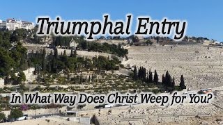 Triumphal Entry Jerusalem Mt of Olives Dominus Flevit Church Zech 99 Matthew 217–9 Israel [upl. by Bouchier]