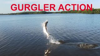 Tarpon Gurgler Action [upl. by Ilehs894]