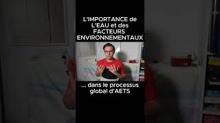 Le Rôle PRIMORDIAL de lEau et des Facteurs Environnementaux dans le processus dAETS  geologie [upl. by Hulda]