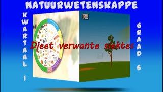 Dieet verwante siektes Deel 9 [upl. by Christan]