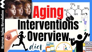 Aging Interventions From Drugs To Diet amp Exercise [upl. by Draw]