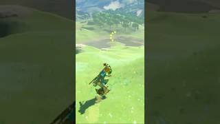 SHIELD SURFING TO FIND A KOROK SEEDBOTW  ZELDA  FULL TUTORIAL IS ON MY YOUTUBE CHANNEL shorts [upl. by Hairem986]