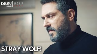 Drown In Your Loneliness  Wolf 2039  BluTv English  Börü [upl. by Spark296]