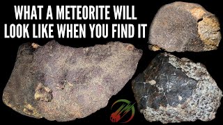 What real Meteorites looks like when you find them ☄️ Rockhound advice from meteorite experts [upl. by Sprague]