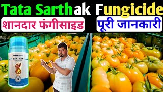 Tata Sarthak Fungicide। Sarthak Fungicide।KresoximMethyl 15।Chlorothalonil 56।Best Fungicide।Tata [upl. by Sylado64]