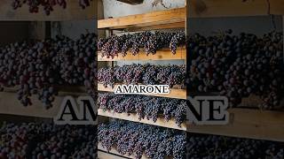 Amarone Şarabı şarap [upl. by Lawtun485]