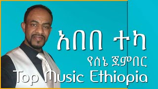 Abebe Teka  Yesene Jember  አበበ ተካ [upl. by Gage]