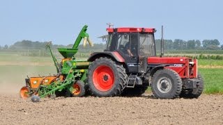 Loonwerk Den Ticht  Case IH 956XL amp Amazone ED 452K  mais zaaien [upl. by Danni]