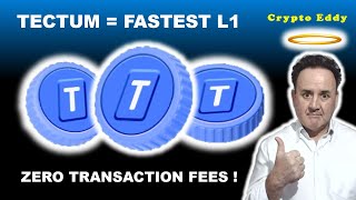 🔥TECTUM 🔥FASTEST LAYER 1🔥BTC L2 ZERO FEES INSTANT FINALITY amp HIGHLY SECURE memes ai gaming [upl. by Ayn]