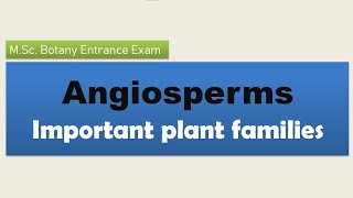 How to read efficiently Angiosperm plant families [upl. by Aimahs]