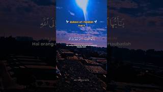 SURAH TAHRIM  سورۃ التحریم  short islam quraan yt YouTube thoughtsofminsa islamicthoughtsz [upl. by Clement]