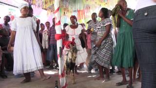 Vodou ceremony at Manbo Tilasquet day 04 [upl. by Nnyre787]