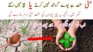 Sakht mitti ko naram banane ka tarika  plant hard soil solution use only one tablespoon [upl. by Bartle]