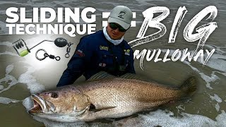 SLIDING BAITS TO CATCH BIG KOBMULLOWAY GIANT MULLOWAY OF SOUTH AFRICA SLIDE BAITING LIVE BAIT [upl. by Occor]