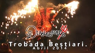 Trobada de Bestiari de Foc Palafolls 2014 [upl. by Eninej570]