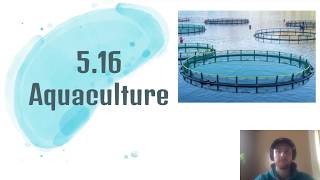 APES Video Notes 516  Aquaculture [upl. by Huberman]