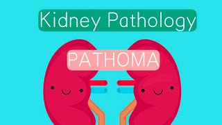 Kidney Pathology PATHOMA 1  Congenital abnormalities  Acute Renal Failure [upl. by Ordnas554]