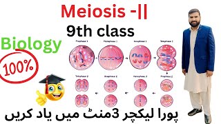 Meiosis2  meiosis 9th class biology 9thclass [upl. by Elleinaj]