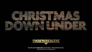 Phosphorescent  Christmas Down Under Official Audio [upl. by Llarret]