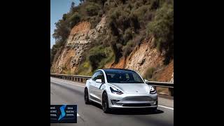 Tesla Model 3 Long Range vs Performance Which Electric Vehicle is Best for You [upl. by Adnaral]