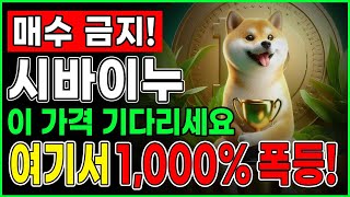 매수금지시바이누 이 가격 기다리세요 저점 반등 “1000” 폭등 타점 시바이누 시바이누전망 [upl. by Othella377]