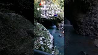 Natural Bridge Springbrook National Park Gold Coast Australia [upl. by Halsted706]