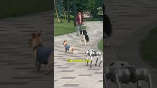 Robot Dog Scares All Dogs Away shorts [upl. by Atalya354]