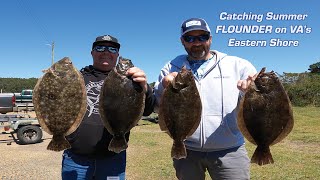 Catching Summer Flounder On Virginias Eastern Shore [upl. by Atikram]