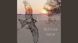 Red Kite in a Pink Sky [upl. by Croom]