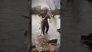 Spoonbill or paddlefish snagging [upl. by Fairfield]