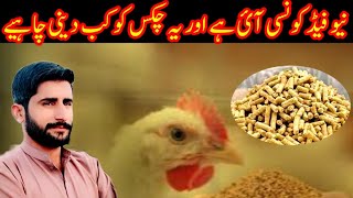 new feed update this feed when used in chicken [upl. by Houston]