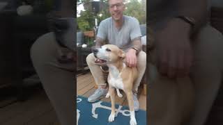 Dillons pet club first video I record my mom grooming a dog and interview another [upl. by Cristian]