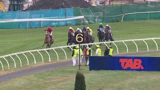 NZ Grand National Steeplechase 2024  WEST COAST OSTPL Riccarton Park New Zealand 10 August [upl. by Grefe213]