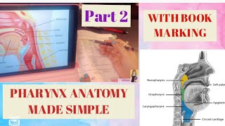 Pharynx Anatomy PART 2  Muscles amp Structure of Pharynx MADE EASY  Constrictors [upl. by Noyr]