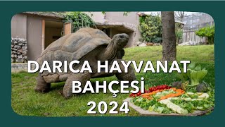 Darıca Hayvanat Bahçesi Gezisi 2024 [upl. by Kelam]