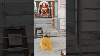 love khatushyamkatha live khatushyamdarshanlive dance khatushyamaarti song kanhaiyamittalli [upl. by Gregson]