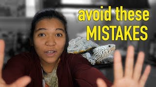 Common Turtle Care MISTAKES and how to avoid them before you buy a turtle watch this [upl. by Favata446]