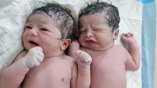 Chunky Twins Newborn babies Girl and Boy talking to each other after birth babiesvideoscute [upl. by Carothers376]