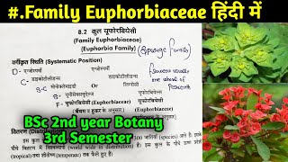 Family Euphorbiaceae in Hindi  BSc 2nd year Botany Third Semester [upl. by Lihas]