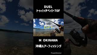 トゥイッチベイト70Fでイシミーバイ 沖縄釣り 沖縄ルアー釣り 釣り [upl. by Poler]