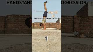 Day 23 Handstand pushups Progression music song TenuSangRakhna tenusangrakhnachallenge lyrics [upl. by Sibley288]