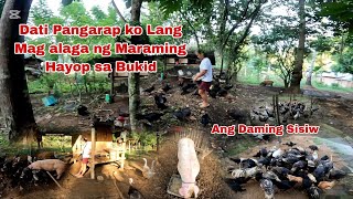 Maraming Iba ibang Alagang Hayop ang Aming Pinaparami sa Bukid Full time Trabaho namin sa Bukid [upl. by Philbrook]