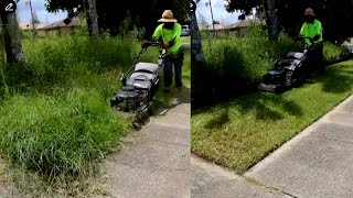 This Overgrown Corner Block Was An Eye Sore  Now The Tidiest In The Street asmr [upl. by Erdna]