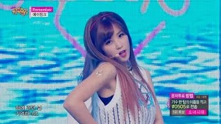 【TVPP】 Apink  Remember 에이핑크  리멤버  Show Music core [upl. by Lyford]