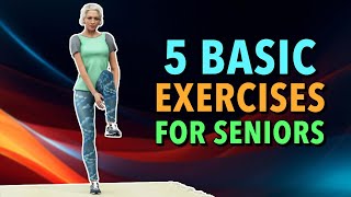 5 Full Body Exercises for Seniors  Basic Strength Workout [upl. by Wonacott]