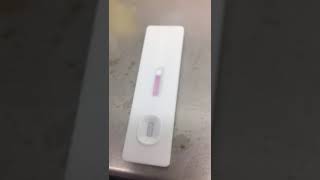 JOYSBIO SARSCOV2 Antigen Rapid Test Kit  Field Video from EU User [upl. by Hardunn]