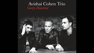 Avishai Cohen  Umray [upl. by Baer]